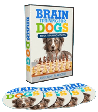 Brain Training for Dogs Bonus 1