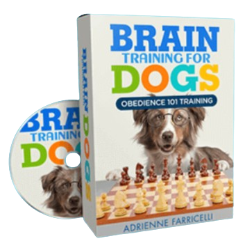Brain Training for Dogs Bonus 2