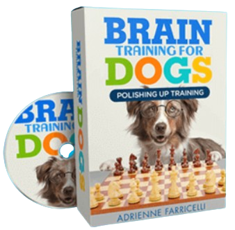 Brain Training for Dogs Bonus 3