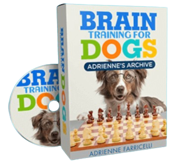 Brain Training for Dogs Bonus 4