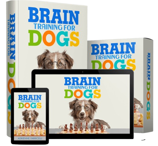 Brain Training for Dogs Reviews