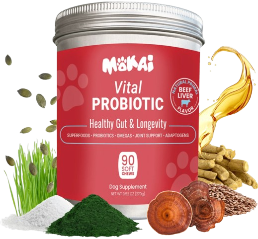 Mokai Vital Probiotic Reviews